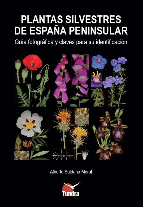 llibre plantas silvestres